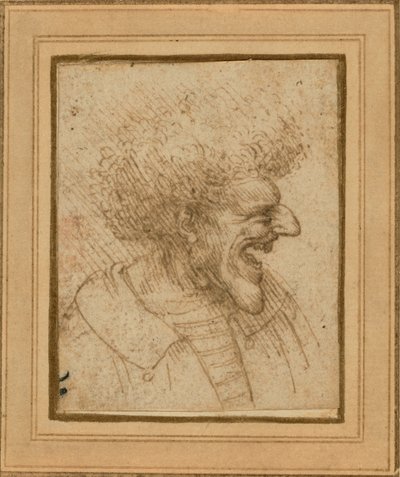 Karikatura muže s hustými vlasy od Leonardo da Vinci