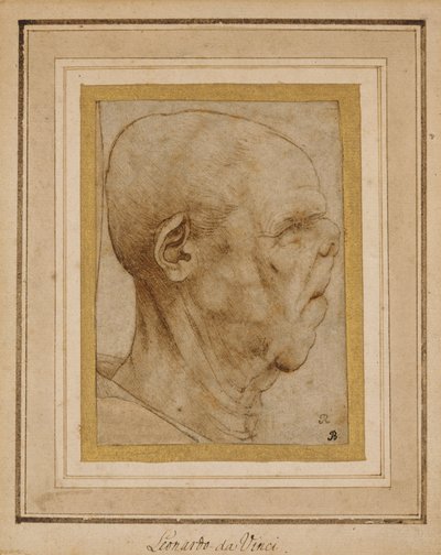 Karikatura hlavy starého muže, z profilu vpravo, kolem 1507 od Leonardo da Vinci