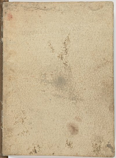 Kód o letu ptáků, c. 1505-06, papírový rukopis, cc. 18, obálka I od Leonardo da Vinci