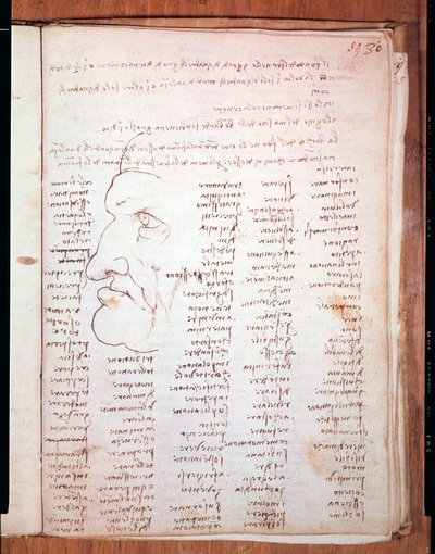Codex Trivulziano od Leonarda da Vinci (Leonardo da Vinci) (1452 - 1519) - Knihovna Trivulziana, Milán od Leonardo da Vinci