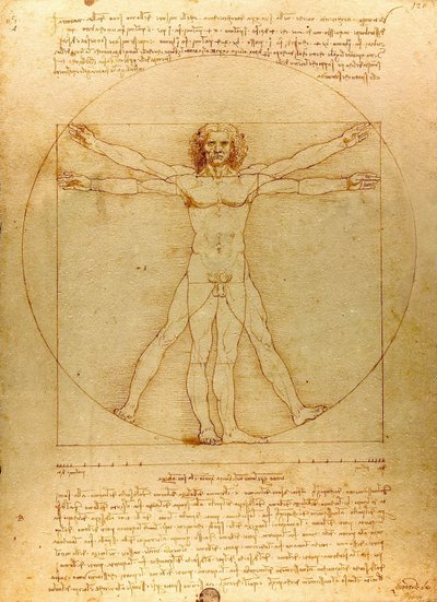 Da Vinci Vitruve Luc Viatour (oříznuto) od Leonardo da Vinci