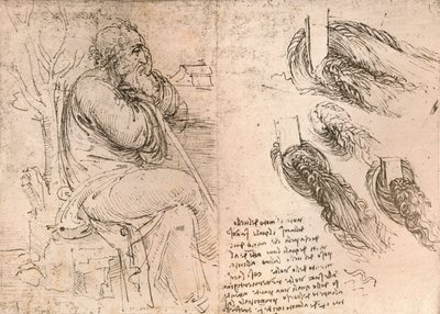 Kresba znázorňující znázornění vlasů padajících do kadeří, c1472-c1519 1883 od Leonardo da Vinci