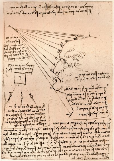 Kresba mužské hlavy, znázorňující praxi malby, c1472-c1519 1883 od Leonardo da Vinci