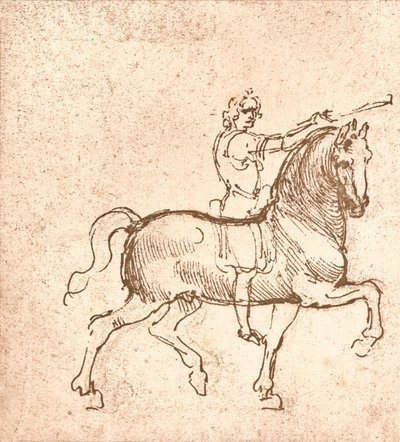 Kresba kráčejícího koně, c1472-c1519 1883 od Leonardo da Vinci
