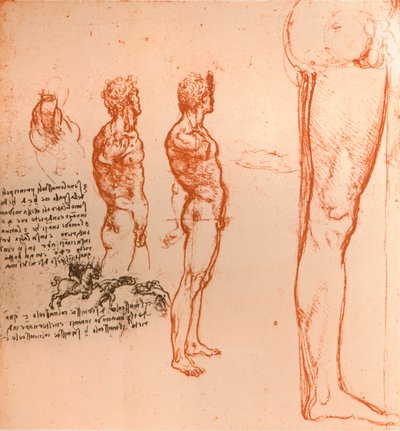 Kresby znázorňující pohyby lidské postavy a bojujících válečníků, c1472-c1519 1883 od Leonardo da Vinci