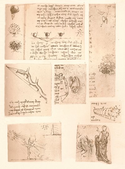 Pět kreseb ilustrujících prvky krajinomalby, c1472-c1519 1883 od Leonardo da Vinci