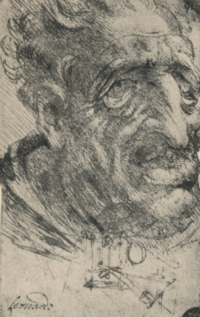 Groteskní hlava muže otočená o tři čtvrtiny doprava, c1480 1945 od Leonardo da Vinci