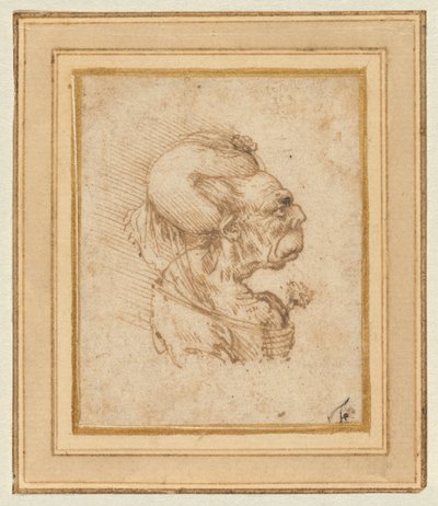Groteskní hlava staré ženy od Leonardo da Vinci