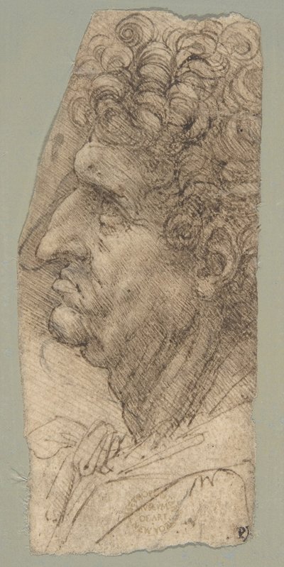 Hlava muže v profilu, otočená doleva od Leonardo da Vinci