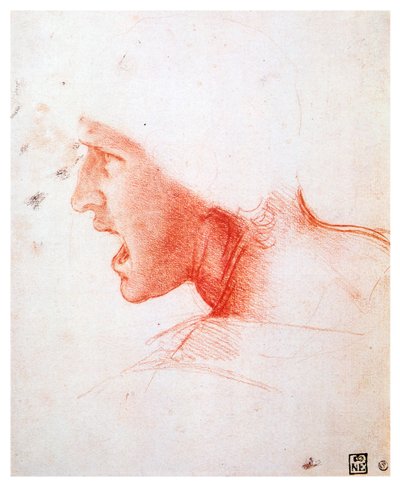 Hlava muže křičícího z profilu vlevo, 1503-1504 od Leonardo da Vinci
