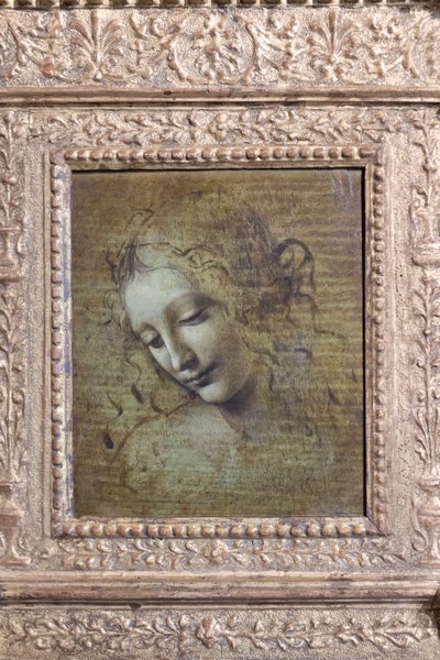 Hlava ženy, tzv. "la scapigliata", asi 1492-1501 (olej na desce) od Leonardo da Vinci