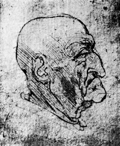 Hlava starého muže, 1913 od Leonardo da Vinci