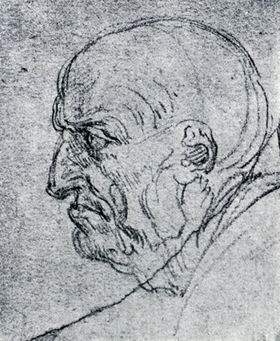 Hlava starého muže, 1913 od Leonardo da Vinci