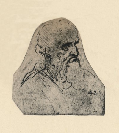 Hlava starého muže otočená doprava, c1480 1945 od Leonardo da Vinci