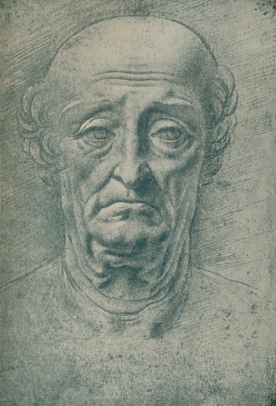 Hlava starého muže, 15. století, 1932 od Leonardo da Vinci