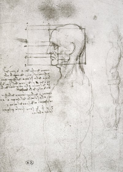 Hlava starého muže z profilu, faksimile kopie (pero a inkoust na papíře) od Leonardo da Vinci