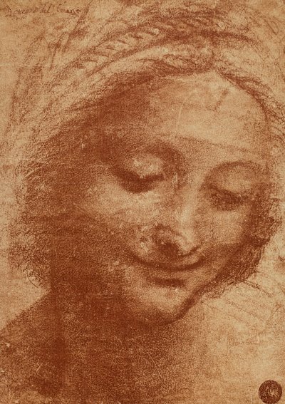 Hlava ženy nebo SantAnny, kresba Leonarda da Vinciho, studie pro hlavu Sant Anny maluje Madona s dítětem a Sant Anna nyní v Louvru. Návrh je umístěn v Gallerie dellA od Leonardo da Vinci