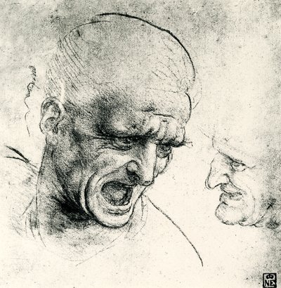 Studium hlavy od Leonardo da Vinci