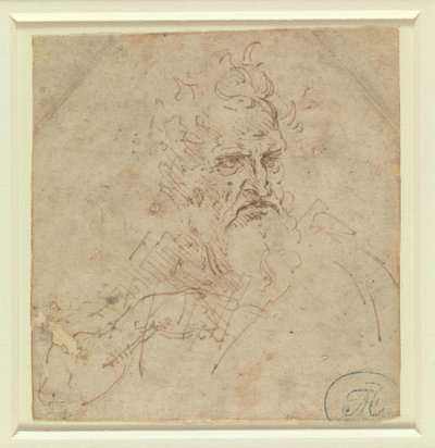 Hlava přísně se tvářícího šedivého muže s pravou paží od Leonardo da Vinci