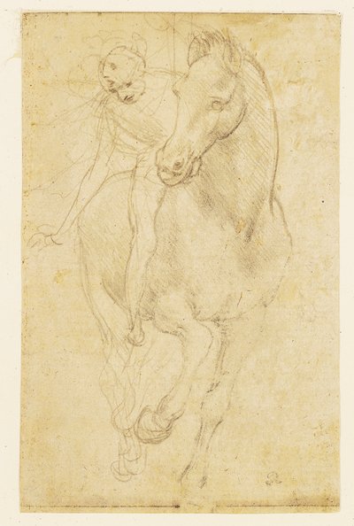 Kůň a jezdec, asi 1480 (stříbrná kresba na preparovaném papíře) od Leonardo da Vinci
