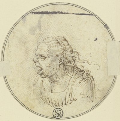 Karikatura ženy s otevřenými ústy, poprsí, v profilu doleva od Leonardo da Vinci