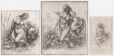 Leda a labuť, c1504-1506 od Leonardo da Vinci
