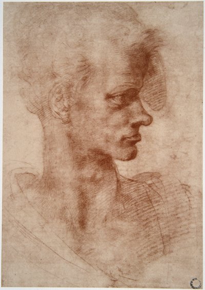 Leonardo da Vinci (Leonardo da Vinci) (1452 - 1519): Karikaturní portrét mladého muže (Imagine) od Leonardo da Vinci