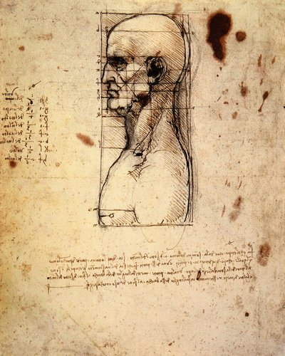 Mužská hlava z profilu s proporcemi od Leonardo da Vinci