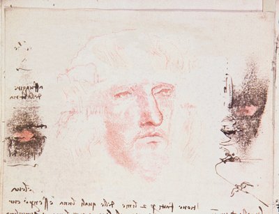 Poznámky o změnách směru letu, rukopisná stránka z Codici Rari III 35.2, fol. 10v z Pojednání o letu ptáků, 1505 (pero a tuš na papíře) od Leonardo da Vinci