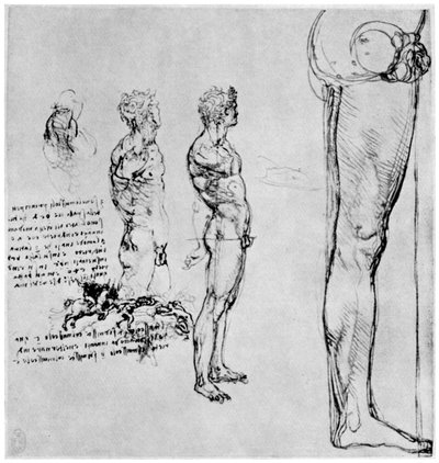 Studie aktu pro bitvu o Anghiari, c1503-1505 1954 od Leonardo da Vinci