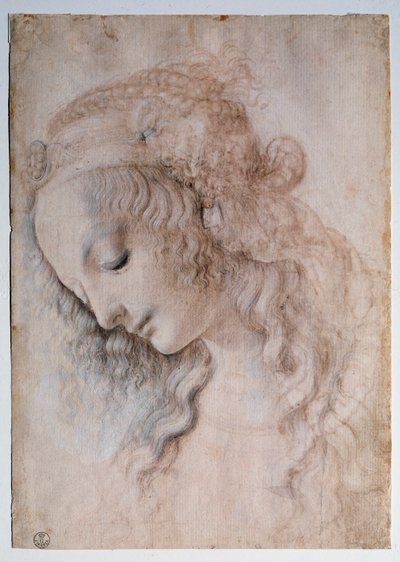 Portrét dívky - kresba od Leonardo da Vinci