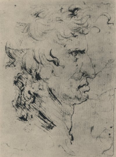 Profil muže napravo, c1480 1945 od Leonardo da Vinci