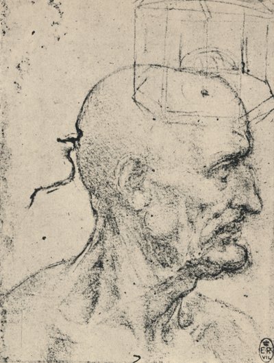 Profil vpravo od plešatého muže, c1480 1945 od Leonardo da Vinci
