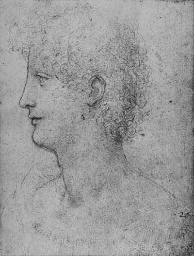 Profil nalevo kudrnatého mladíka, c1480 1945 od Leonardo da Vinci