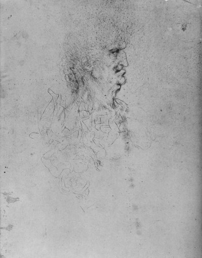 Profil napravo starého muže, c1480 1945 od Leonardo da Vinci