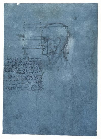 Proporční studie mužské hlavy v profilu od Leonardo da Vinci