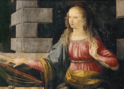 Svatá Marie (olej na dřevě) od Leonardo da Vinci
