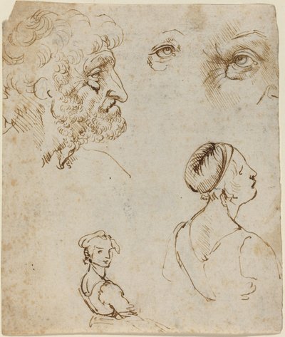 Studijní list [recto] od Leonardo da Vinci