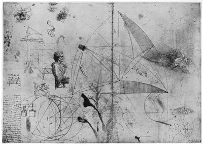 List studií, konec 15. nebo začátek 16. století 1954. od Leonardo da Vinci