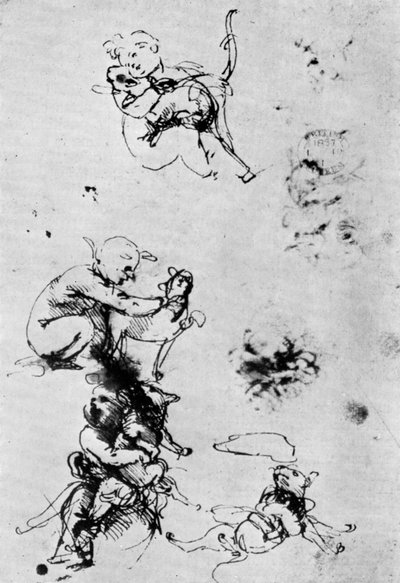 Studie pro Madonnu Del Gatto, 15. století 1930. od Leonardo da Vinci
