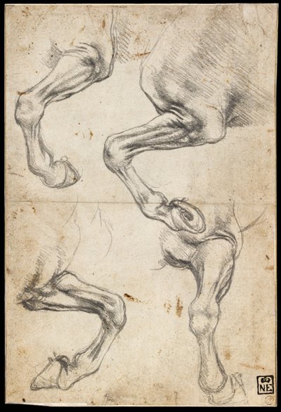 Studie koňské nohy od Leonardo da Vinci