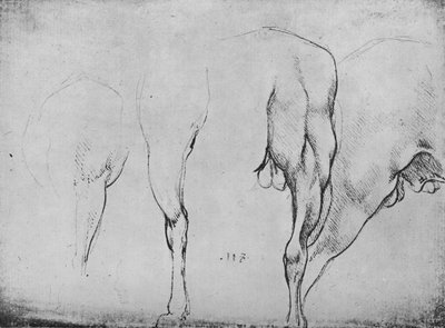 Studie koňských nohou, c1480 1945 od Leonardo da Vinci