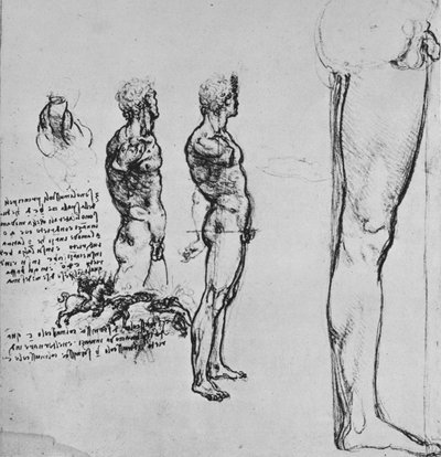 Studie aktů a menší náčrt bitvy, c1480 1945 od Leonardo da Vinci