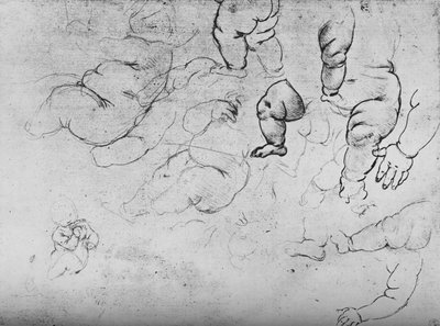 Studie dítěte, c1490 1945 od Leonardo da Vinci