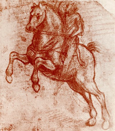 Studie rytíře, Leonardo De Vinci, 1913 od Leonardo da Vinci