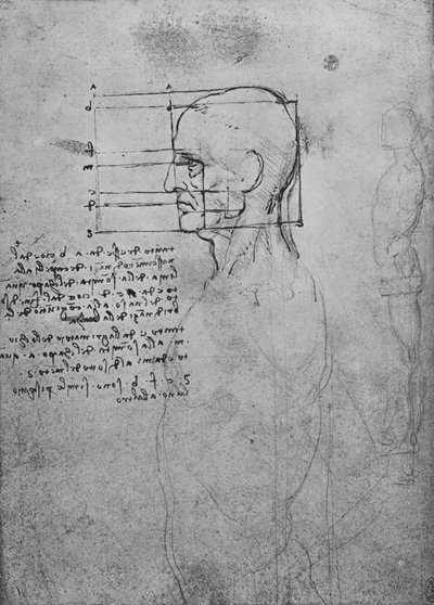 Studie mužského nahého trupu, hlava čtvercová pro proporce, c1480 1945 od Leonardo da Vinci