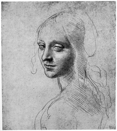 Studie hlavy dívky, c1483 1954 od Leonardo da Vinci