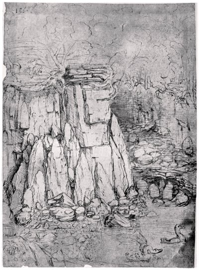 Studie skalní jeskyně s kachnami, 1482-1485 1954 od Leonardo da Vinci