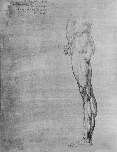 Studie těla a nohy muže, c1480 1945 od Leonardo da Vinci