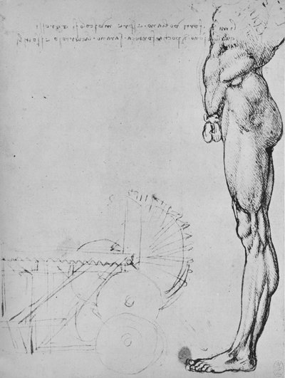 Studie o spodní polovině člověka a strojů, c1480 1945 od Leonardo da Vinci
